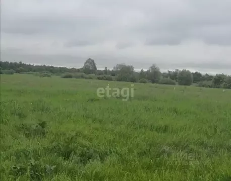 Участок в Башкортостан, Кармаскалинский район, Подлубовский сельсовет, ...