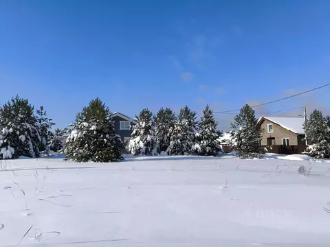 Участок в Московская область, Раменский муниципальный округ, с. Речицы ...