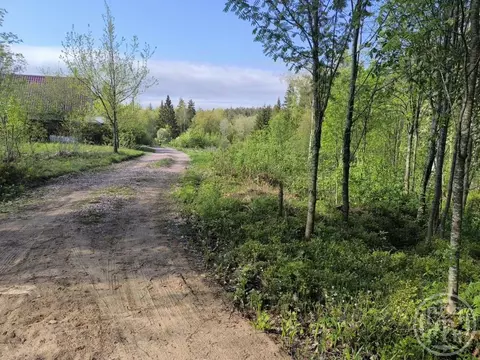 Участок в Ленинградская область, Выборгский район, Первомайское с/пос ...