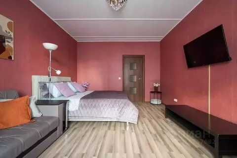 1-к кв. Санкт-Петербург Коломяжский просп., 15к2 (42.0 м)