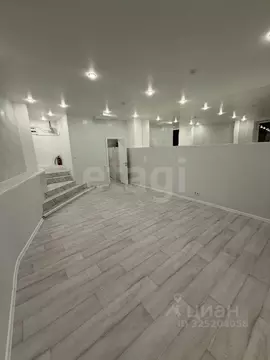 Офис в Санкт-Петербург пер. Пирогова, 19 (53 м)