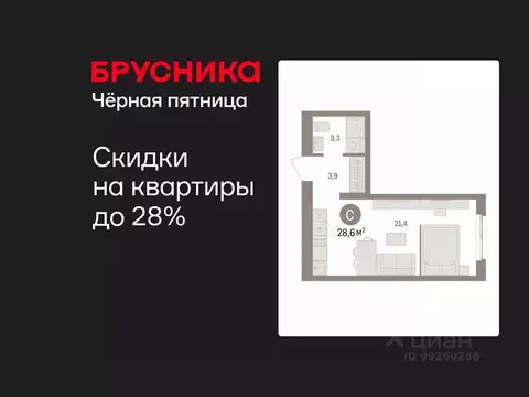 Студия Свердловская область, Екатеринбург пер. Торфяной, 4 (28.6 м)