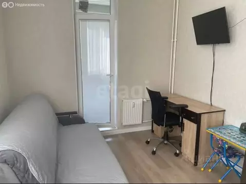 Квартира-студия: Санкт-Петербург, Кушелевская дорога, 1к2 (28.9 м)