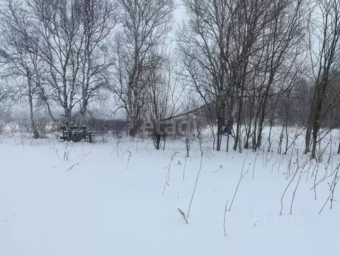 Участок в Камчатский край, Елизовский муниципальный округ, пос. ...