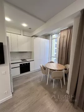 Студия Краснодарский край, Сочи городской округ, Дагомыс пгт ул. ...