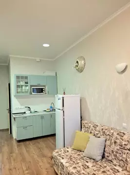 Студия Краснодарский край, Геленджик Крымская ул., 22к11 (28.0 м)