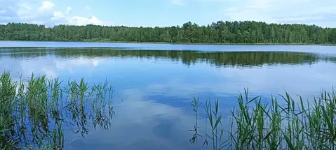 Участок в Новгородская область, Валдайский район, Короцкое с/пос, пос. ...