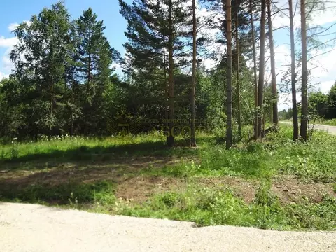 Участок в Свердловская область, Дегтярск 2-я Солнечная Долина линия, ...