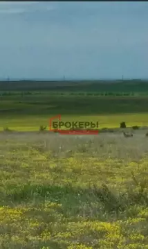 Участок в Крым, Бахчисарайский район, Каштановское с/пос, Крымские ...