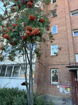 2-к кв. Иркутская область, Иркутск ул. Красноказачья, 120/4 (48.3 м)