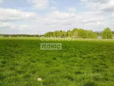 Участок в Ивановская область, пос. Лежнево ул. Афанасовская, 40 (10.0 ...