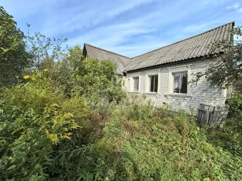 Дом в Брянская область, Брянский район, Нетьинское с/пос, пос. ...