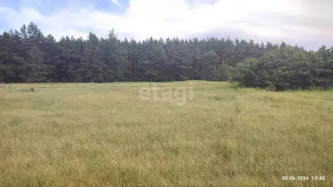 Участок в Белгородская область, Чернянский район, Волоконовское с/пос, ...