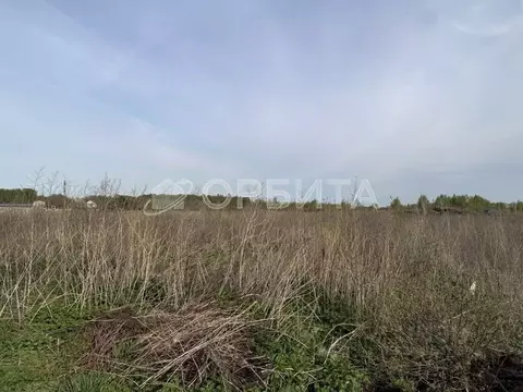 Участок в Тюменская область, Тюмень Лаванда садовое товарищество,  ...