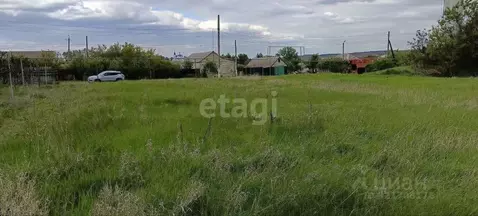 Участок в Белгородская область, Волоконовка рп ул. Курячего (15.5 ...