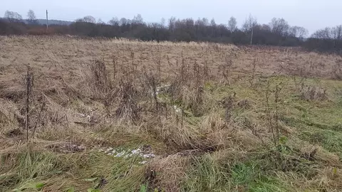 Участок в Московская область, Можайский муниципальный округ, д. ...