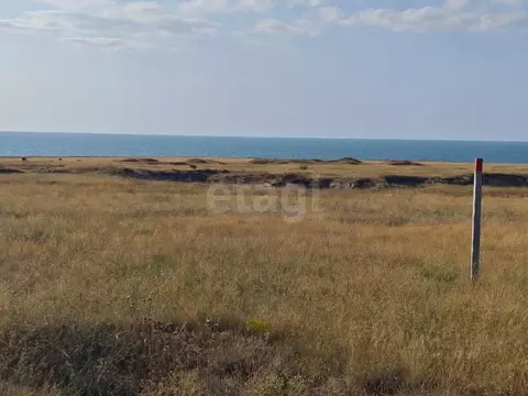 Участок в Крым, Ленинский район, Семисотское с/пос, с. Каменское ул. ...