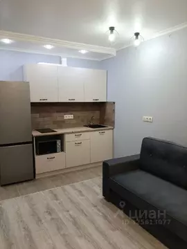 Студия Московская область, Мытищи ул. Кедрина, 3 (25.0 м)