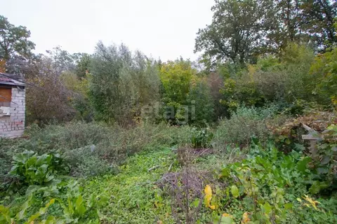 Дом в Калининградская область, Калининград Золотой Петушок ДНТ,  (89 ...