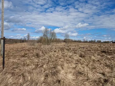 Участок в Новгородская область, Новгородский район, Трубичинское ...