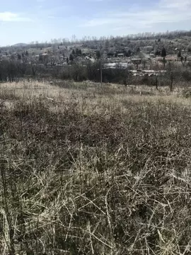 Участок в Ставропольский край, Предгорный муниципальный округ, Восход ...