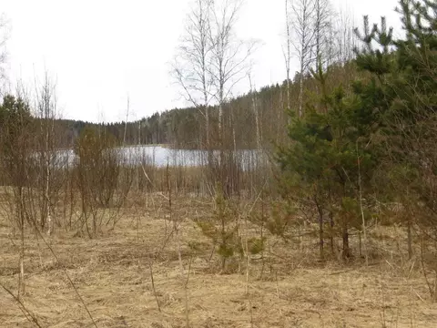 Участок в Карелия, Лахденпохский муниципальный округ, район поселка ...