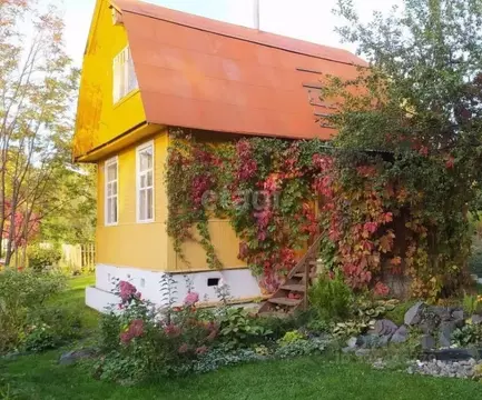 Дом в Новосибирская область, Новосибирск Ивушка СНТ, ул. Луговая, 24 ...