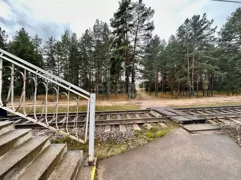 3-к кв. Ленинградская область, Кировский район, Мгинское городское ...