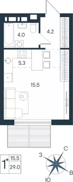 Студия Пермский край, Пермь ул. Космонавта Беляева, 17 (29.0 м)