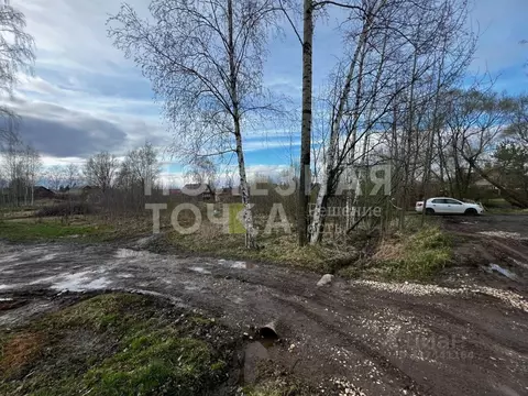 Участок в Новгородская область, Боровичи ул. Салтыкова-Щедрина, 9 ...