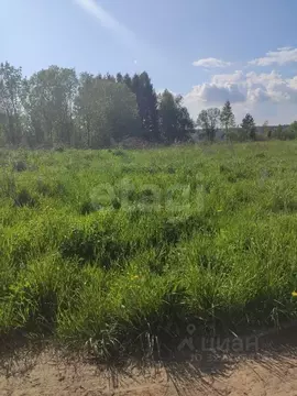 Участок в Вологодская область, д. Евлашево  (12.0 сот.)