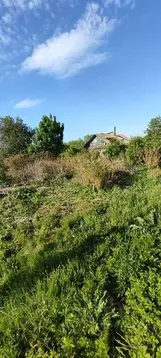 Участок в Пензенская область, Бессоновский район, с. Трофимовка ...