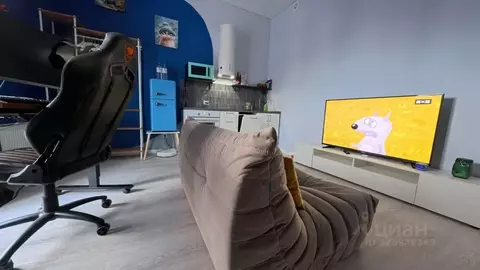 Студия Санкт-Петербург ул. Струве, 10к1 (25.0 м)