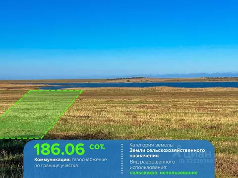 Участок в Омская область, Кормиловский район, Новосельское с/пос  ...