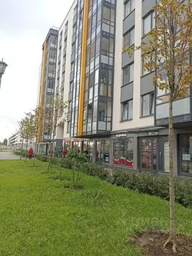 1-к кв. Санкт-Петербург просп. Ветеранов, 179 (33.6 м)