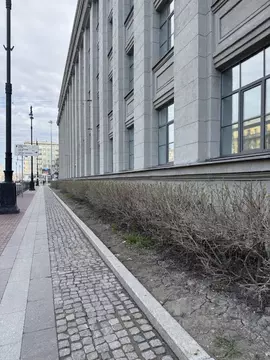 Помещение свободного назначения в Санкт-Петербург Московский просп., ...