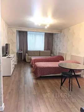 Студия Нижегородская область, с. Дивеево ул. Симанина, 14 (35.0 м)