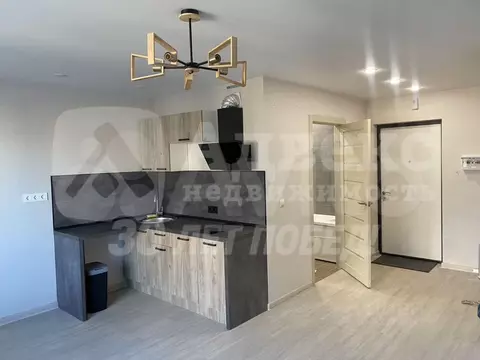 Студия Тюменская область, Тюмень ул. Новоселов, 113 (27.1 м)