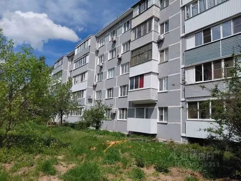 3-к кв. Рязанская область, Рязань ул. Сельских Строителей, 2 (65.0 м)