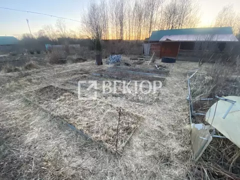 Дом в Костромская область, Кострома Березка-3 СНТ, 72 (12 м)