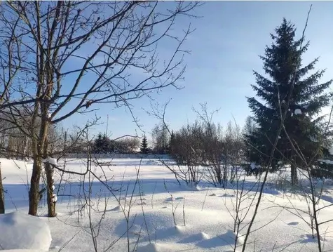 Участок в Московская область, Истра муниципальный округ, д. Котово  ...