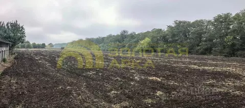 Участок в Краснодарский край, Анапа муниципальный округ, Иванов хут. ...