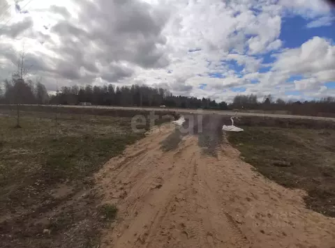 Участок в Вологодская область, пос. Лесково  (8.0 сот.)