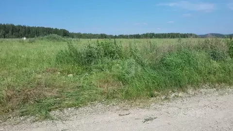 Участок в Костромская область, Костромской район, Самсоновское с/пос, ...