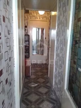1-к кв. Санкт-Петербург просп. Маршала Жукова, 30К2 (28.0 м)