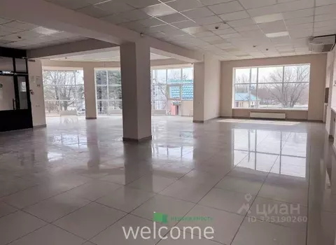 Помещение свободного назначения в Ставропольский край, Ставрополь ул. ...
