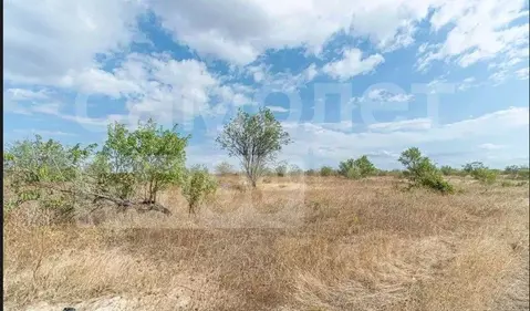 Участок в Крым, Бахчисарайский район, с. Песчаное  (90.0 сот.)