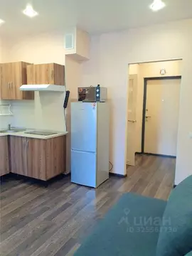 Студия Санкт-Петербург ул. Среднерогатская, 16к4 (23.0 м)