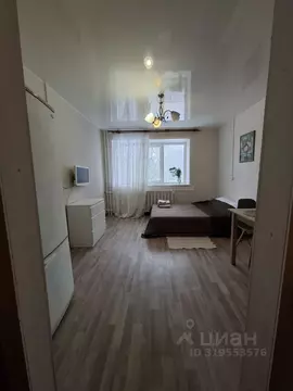 Студия Новгородская область, Великий Новгород Новолучанская ул., 26 ...