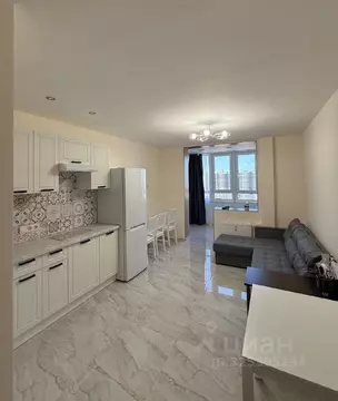 Студия Ленинградская область, Мурино Всеволожский район, просп. ...